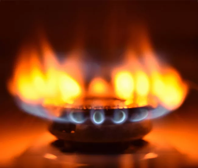 Gas Appliance Brands We Service